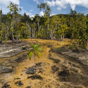 Národní park Khao Nour Chu Chi